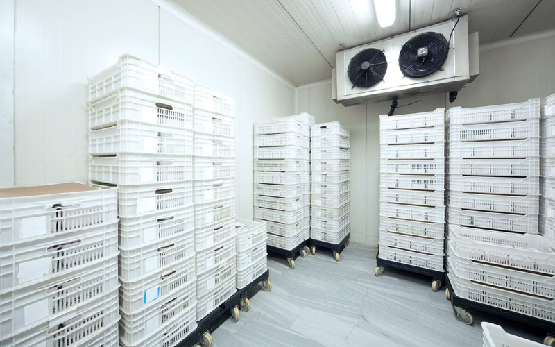 Efficacité des ressources et intendance environnementale