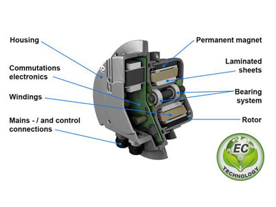 Aperçu des fans de la CE: qu'est-ce qu'un fan d'EC?