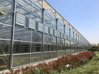 Nouvelle mise à niveau des ventilateurs centrifuges SunxFan Double Inlet: la technologie de conversion de fréquence EC aide les serres de culture hors sol à obtenir une ventilation et un contrôle efficaces de la température