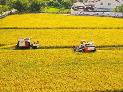De la cueillette du coton à la récolte, les ventilateurs centrifuges à double entrée SunxFan EC à fréquence variable