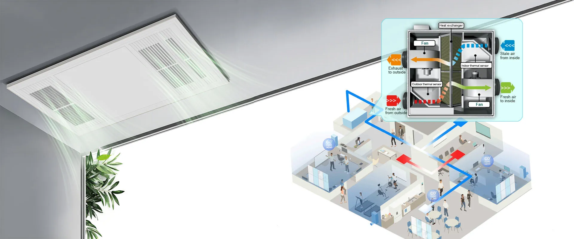 L'algorithme respire, le vent évolue.